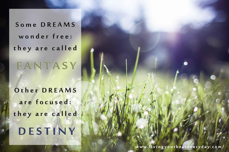 Some Dreams Wonder Free: They Are Called
  Fantasy; Other Dreams are Focused: They are Called Destiny!